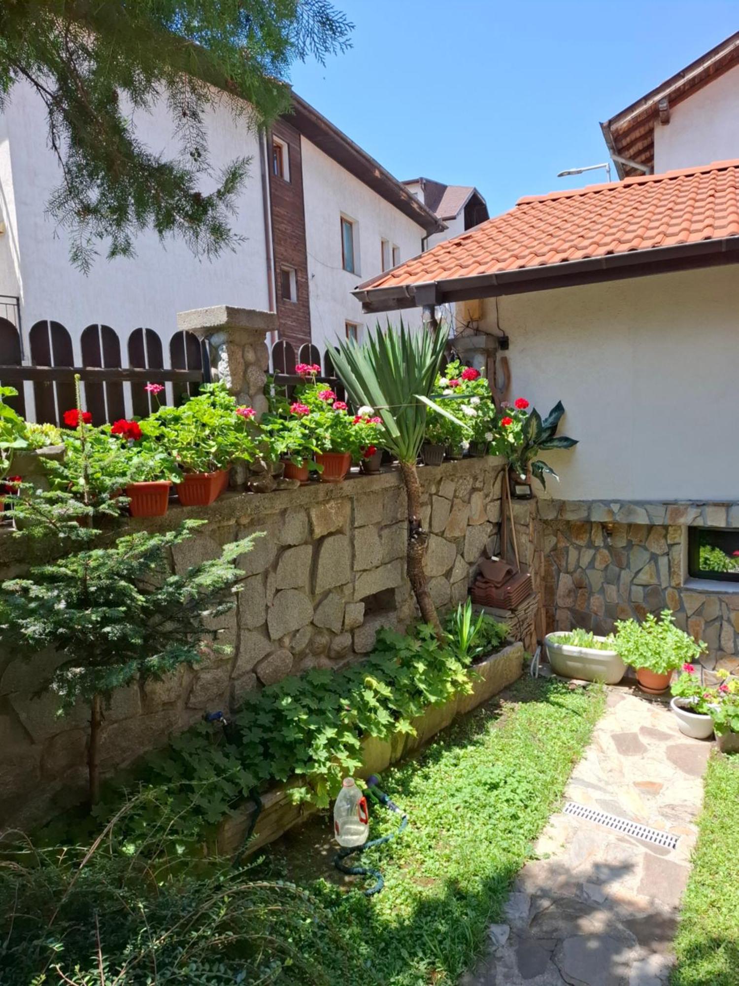 Guest House Skabrin Bansko Esterno foto